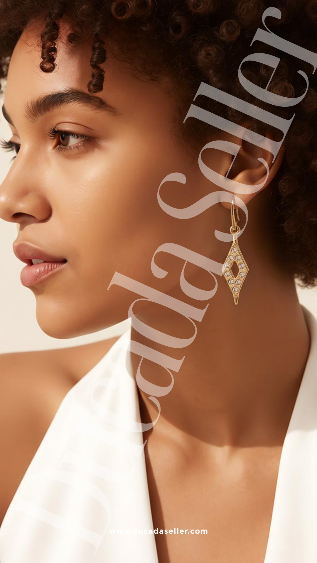 Aretes Nice | 221211