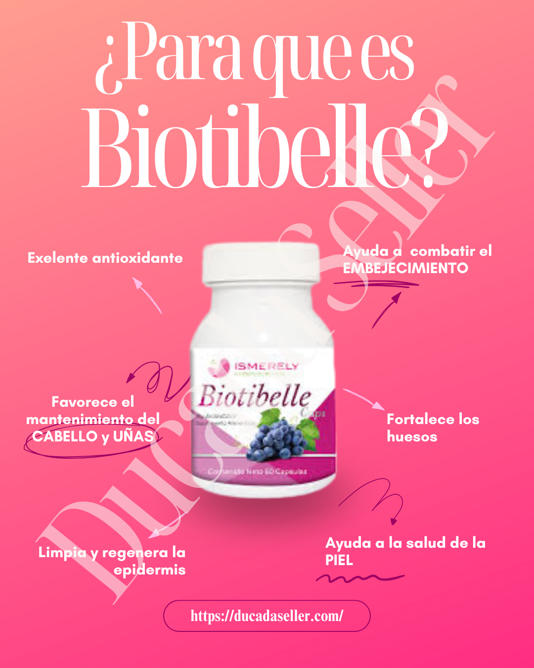 Biotibelle  (my belly)