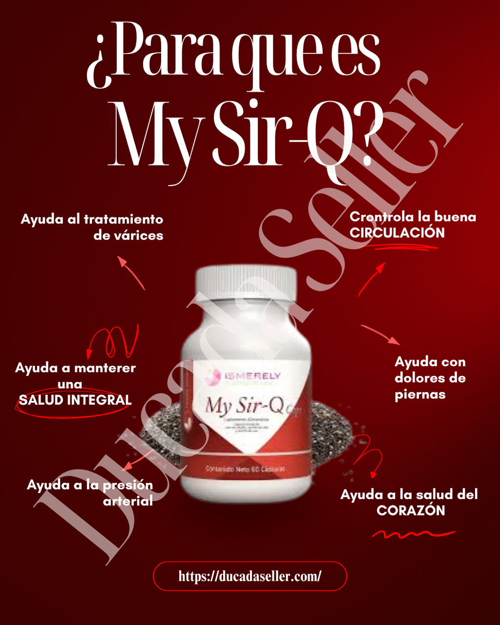 My Sir-Q